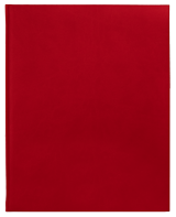 DZ 42: czerwony